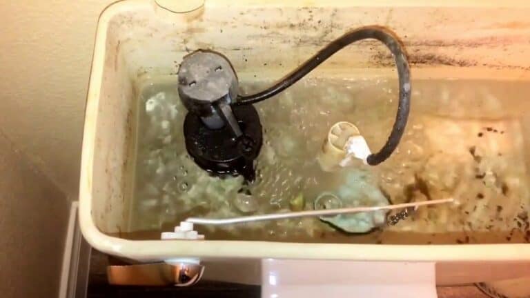 Toilet Making Noise After Flush