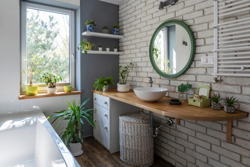 Bathroom window